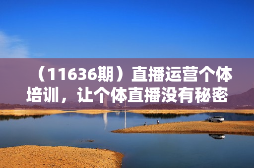（11636期）直播运营个体培训，让个体直播没有秘密，起号/货源/单品打爆/投流等玩法