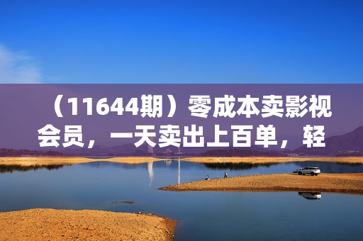 （11644期）零成本卖影视会员，一天卖出上百单，轻松日入四位数
