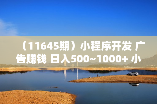 （11645期）小程序开发 广告赚钱 日入500~1000+ 小白轻松上手！