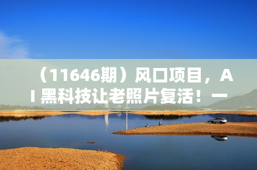（11646期）风口项目，AI 黑科技让老照片复活！一键生成完全免费！接单接到手抽筋