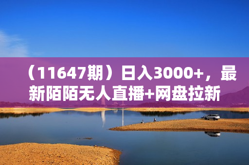 （11647期）日入3000+，最新陌陌无人直播+网盘拉新暴力玩法，落地教程+素材工具