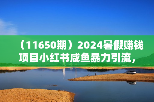 （11650期）2024暑假赚钱项目小红书咸鱼暴力引流，简单无脑操作，每单利润500+，