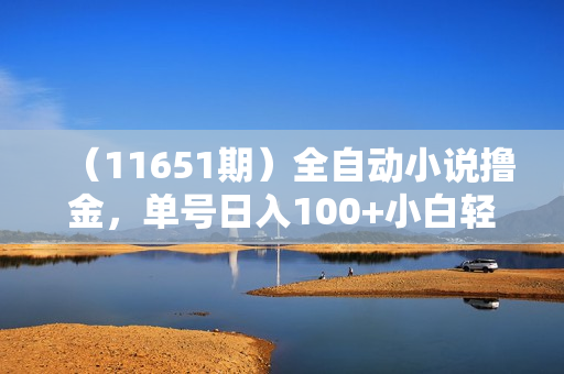 （11651期）全自动小说撸金，单号日入100+小白轻松上手，无脑操作