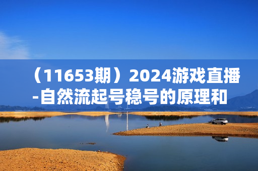 （11653期）2024游戏直播-自然流起号稳号的原理和实战，自然流起号流程（11节）