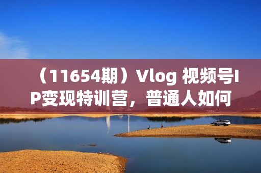（11654期）Vlog 视频号IP变现特训营，普通人如何通过视频号变现赚钱（15节）