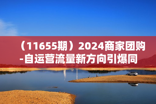 （11655期）2024商家团购-自运营流量新方向引爆同城，手把手教你玩转本地生活-55节课
