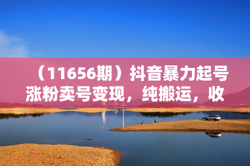 （11656期）抖音暴力起号涨粉卖号变现，纯搬运，收费998的抖音热门快速涨粉技术