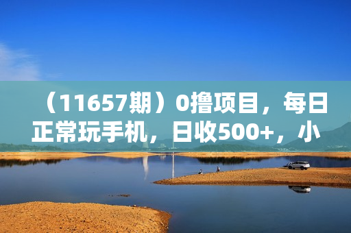 （11657期）0撸项目，每日正常玩手机，日收500+，小白也能轻松上手