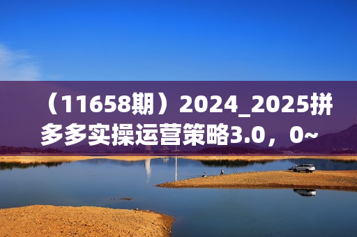 （11658期）2024_2025拼多多实操运营策略3.0，0~1完美蜕变，解决信息焦虑（38节）