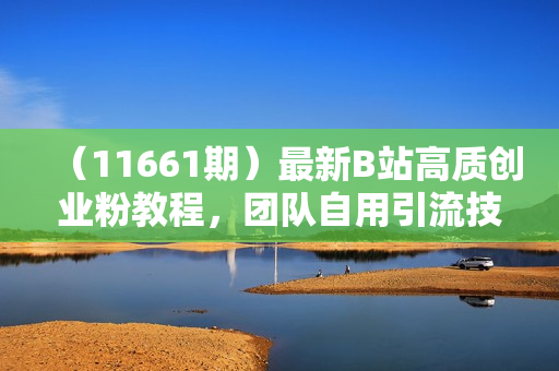 （11661期）最新B站高质创业粉教程，团队自用引流技术公开，每天稳定300+创业粉