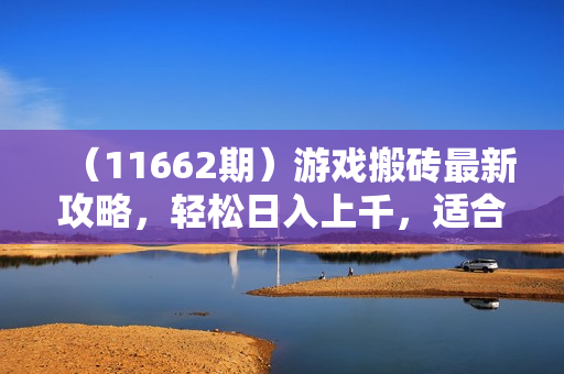 （11662期）游戏搬砖最新攻略，轻松日入上千，适合工作室和副业。