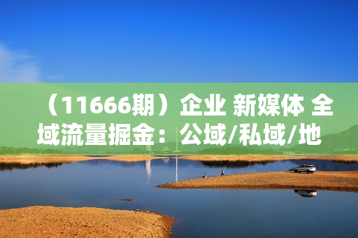 （11666期）企业 新媒体 全域流量掘金：公域/私域/地域 企业全域获客 百亿流量 收割器