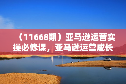 （11668期）亚马逊运营实操必修课，亚马逊运营成长计划（全套课程）