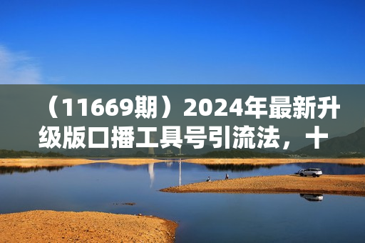 （11669期）2024年最新升级版口播工具号引流法，十分钟一条爆款作品，日引流500+高