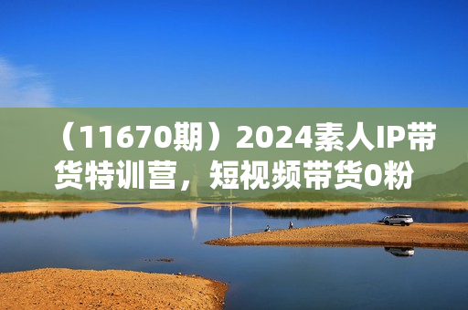 （11670期）2024素人IP带货特训营，短视频带货0粉起号，一个月即可爆单（156节）