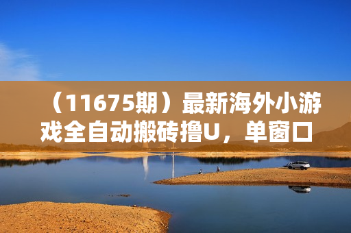 （11675期）最新海外小游戏全自动搬砖撸U，单窗口1-5美金,  日入700＋无限放大