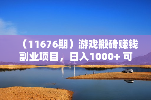 （11676期）游戏搬砖赚钱副业项目，日入1000+ 可矩阵操作