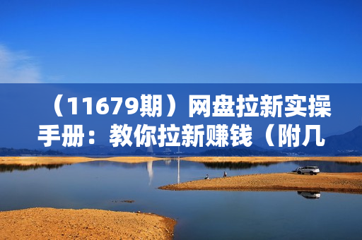 （11679期）网盘拉新实操手册：教你拉新赚钱（附几百T资源合集+拉新108招+案例）