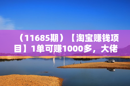 （11685期）【淘宝赚钱项目】1单可赚1000多，大佬独家项目，年赚几百万