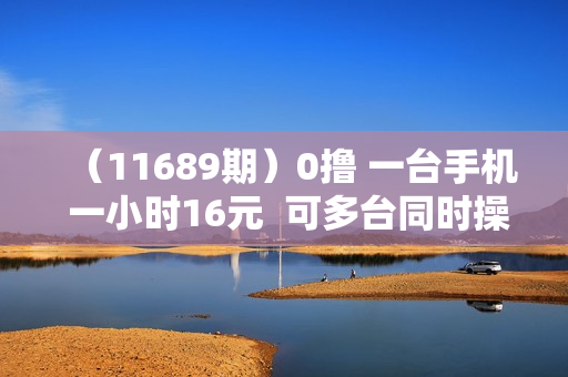 （11689期）0撸 一台手机 一小时16元  可多台同时操作 10台就是一小时160元 不养鸡