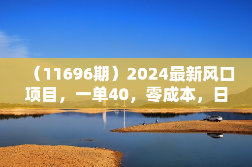 （11696期）2024最新风口项目，一单40，零成本，日入2000+，小白也能100%必赚