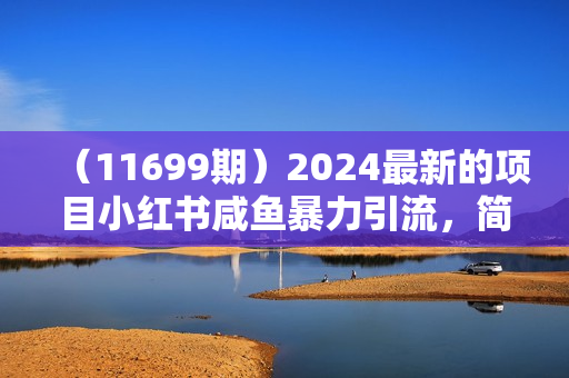 （11699期）2024最新的项目小红书咸鱼暴力引流，简单无脑操作，每单利润最少500+