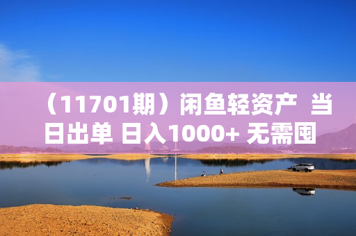 （11701期）闲鱼轻资产  当日出单 日入1000+ 无需囤货人性玩法复购不断