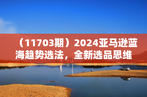 （11703期）2024亚马逊蓝海趋势选法，全新选品思维，玩转信息差