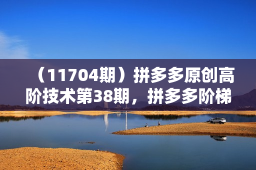（11704期）拼多多原创高阶技术第38期，拼多多阶梯提价破量法（14节课）