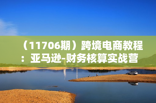 （11706期）跨境电商教程：亚马逊-财务核算实战营（28节课）