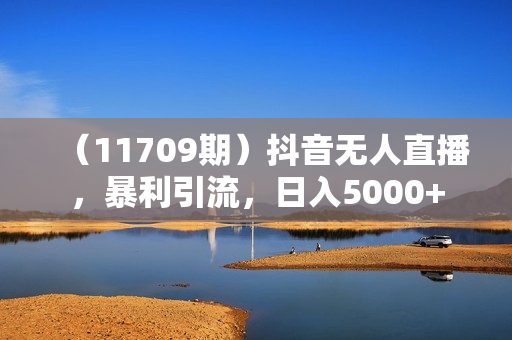 （11709期）抖音无人直播，暴利引流，日入5000+