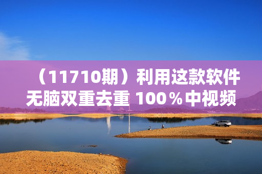 （11710期）利用这款软件无脑双重去重 100％中视频＋视频号分成计划 小白也能月入3w＋
