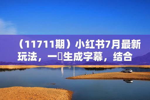 （11711期）小红书7月最新玩法，一鍵生成字幕，结合商单广告，私域月入10000+