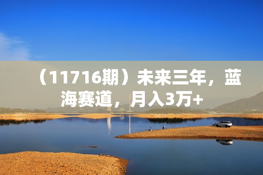 （11716期）未来三年，蓝海赛道，月入3万+