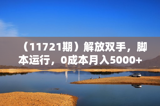 （11721期）解放双手，脚本运行，0成本月入5000+