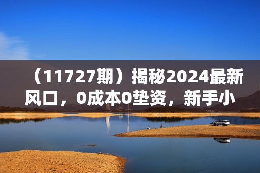 （11727期）揭秘2024最新风口，0成本0垫资，新手小白只要动手就能赚钱的项目---空调
