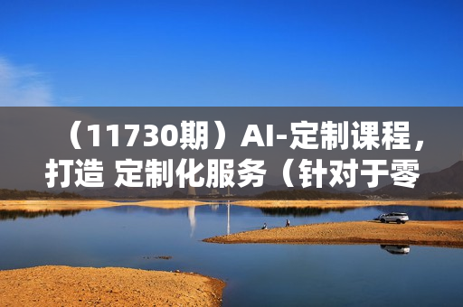 （11730期）AI-定制课程，打造 定制化服务（针对于零基础小白、电商达人）36节课