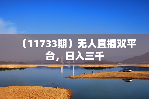 （11733期）无人直播双平台，日入三千