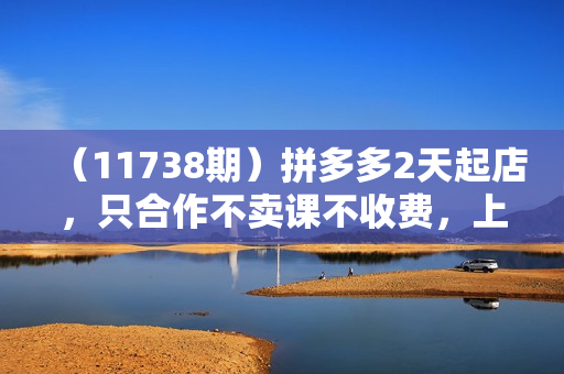 （11738期）拼多多2天起店，只合作不卖课不收费，上架产品无偿对接，只需要你回