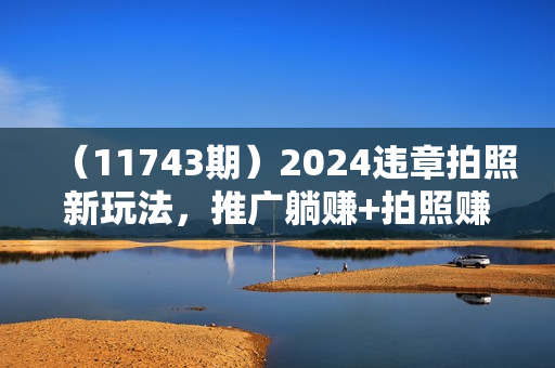 （11743期）2024违章拍照新玩法，推广躺赚+拍照赚钱双模式，日入1000+