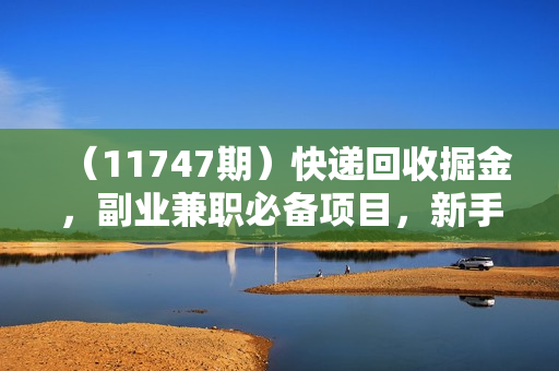 （11747期）快递回收掘金，副业兼职必备项目，新手当天上手，轻松实现日入300＋
