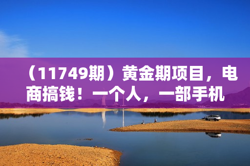 （11749期）黄金期项目，电商搞钱！一个人，一部手机，在家可做，每天收入500+