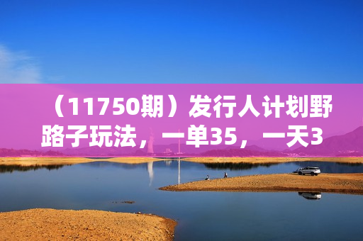 （11750期）发行人计划野路子玩法，一单35，一天3000+，一部手机即可操作