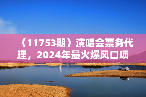 （11753期）演唱会票务代理，2024年最火爆风口项目，全网最低的票价，小白一分钟上