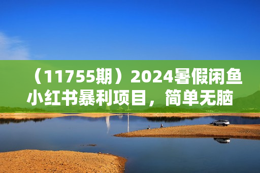 （11755期）2024暑假闲鱼小红书暴利项目，简单无脑操作，每单利润最少500+，轻松