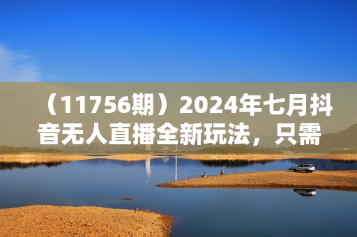 （11756期）2024年七月抖音无人直播全新玩法，只需一部手机即可操作，小白每天也可