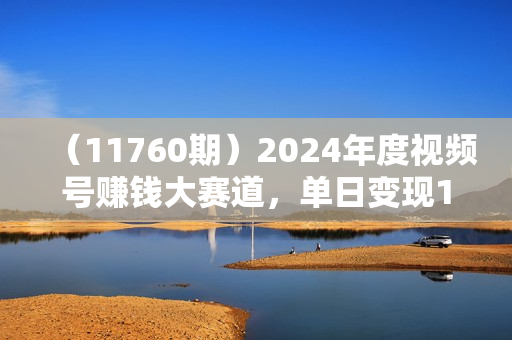 （11760期）2024年度视频号赚钱大赛道，单日变现1000+，多劳多得，复制粘贴100%过