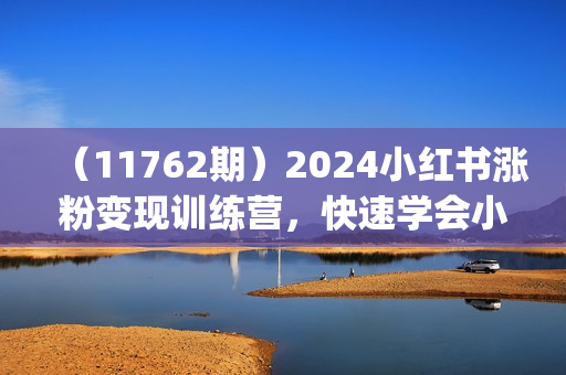 （11762期）2024小红书涨粉变现训练营，快速学会小红书涨粉，月入十万轻松变现(40节)