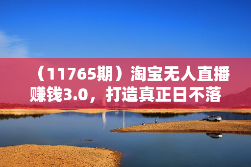 （11765期）淘宝无人直播赚钱3.0，打造真正日不落直播间 ，学会每天稳定收入500+
