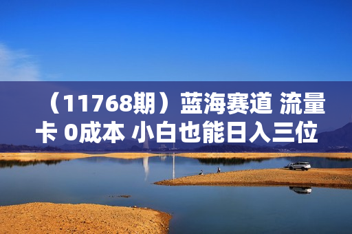 （11768期）蓝海赛道 流量卡 0成本 小白也能日入三位数